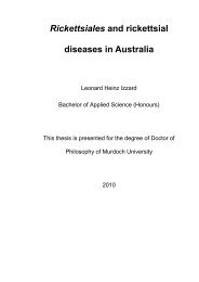 Rickettsiales and rickettsial diseases in Australia - Murdoch ...