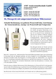 H2-Messgerät mit amperometrischem Mikrosensor - AMT ...