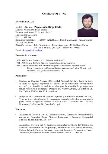 Curriculum Vitae - Universidad Nacional del Sur