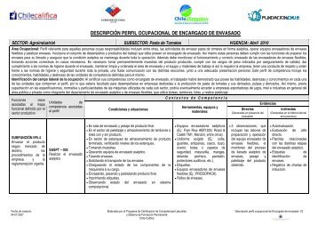 DESCRIPCIÓN PERFIL OCUPACIONAL DE ... - Chilealimentos