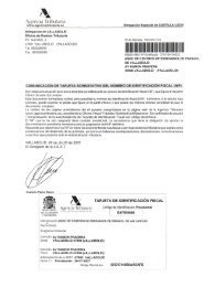 CIF provisional - Fundación de la Lengua Española