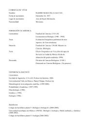 CURRICULUM VITAE - División de Ciencias Básicas - UNAM