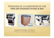 tecnologia de la elaboración de vino para ser envasado en bag in box