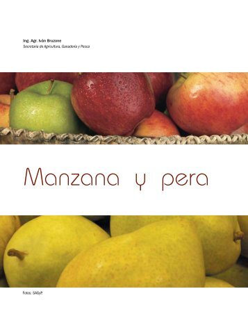 Manzana y pera - Alimentos Argentinos