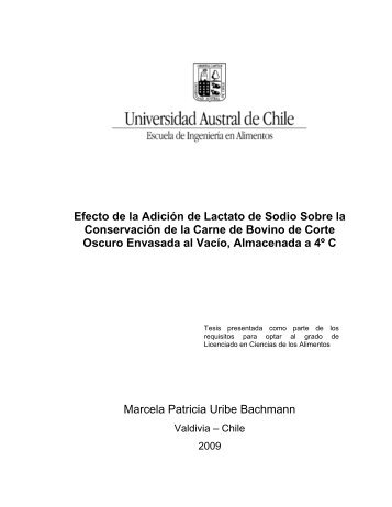 ndice de materias - Tesis Electrónicas UACh - Universidad Austral ...