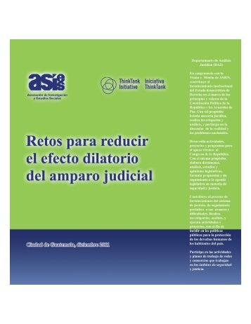 Retos del Amparo Judicial - Asociación de Investigación y Estudios ...