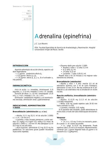 Adrenalina (epinefrina)
