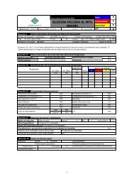 HDS Formato PT-PI REV 26 - EUCOMEX