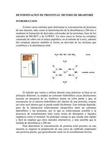 DETERMINACION DE PROTEINAS: METODO DE BRADFORD ...