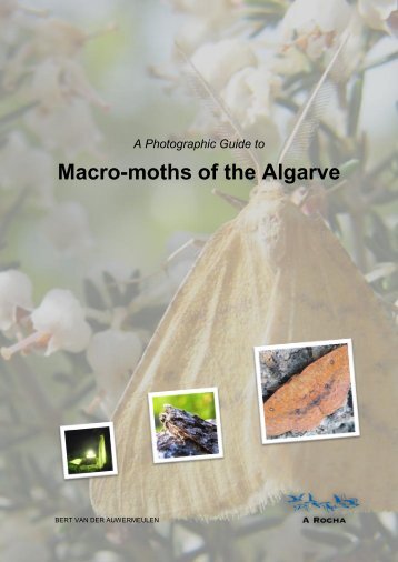 Macro-moths of the Algarve - A Rocha