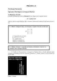 TriangulaçTriangulaç˜Triangulação de Delaunay para definir valores de