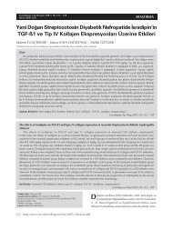 ‹sradipin'in TGF-ß1 ve Tip IV Kollajen Ekspresyonlar› Üzerine Etkileri
