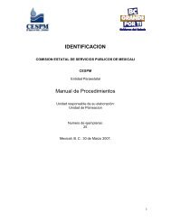 Manual de Procedimientos CESPM enviado 300307