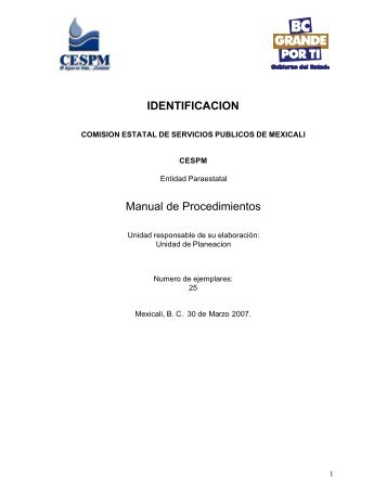 Manual de Procedimientos CESPM enviado 300307