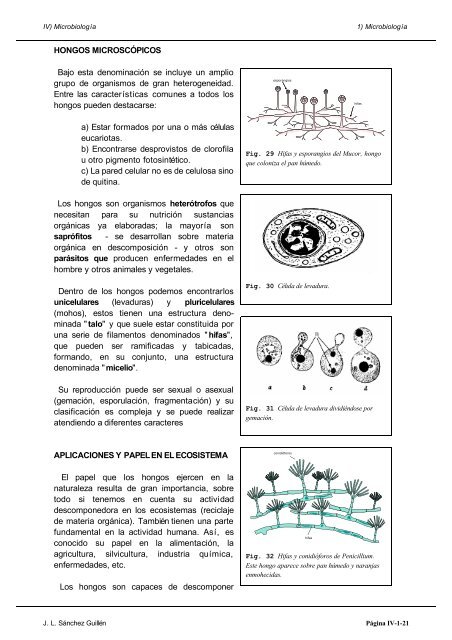 Biología de 2º de bachillerato - Telecable