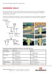 Scherrer Gully - Entwässern ohne Kompromisse System ...