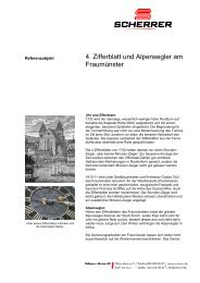 4. Zifferblatt und Alpensegler am Fraumünster