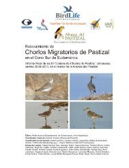 IV Conteo de Chorlos Migratorios del Pastizal - Aves Uruguay