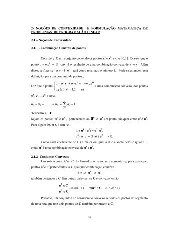 2- NOÇÕES DE CONVEXIDADE E FORMULAÇÃO MATEMÁTICA ...