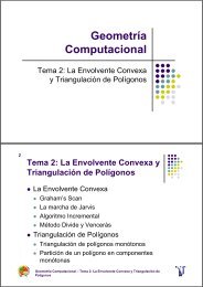 Geometría Computacional