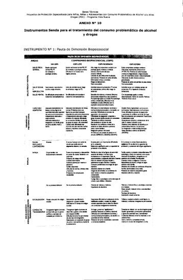 Instrumentos Senda para el tratamiento del consumo ... - Sename