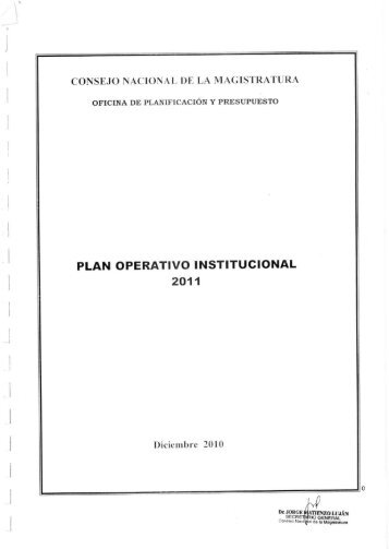PLAN OPERATIVO INSTITUCIONAL 2011 - Consejo Nacional de la ...