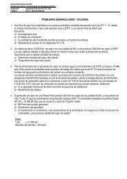 Problemas Resueltos - Calderas.pdf - ICYTAL - UACh - Universidad ...