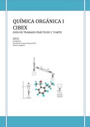 QUÍMICA ORGÁNICA I CIBEX - Cátedras