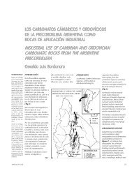 Los carbonatos cámbricos y ordovícicos de la Precordillera ...