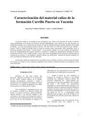Caracterización del material calizo de la formación Carrillo Puerto ...
