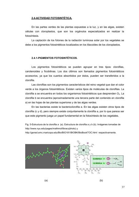 UNIVERSIDAD DE VALLADOLID - Quantalab