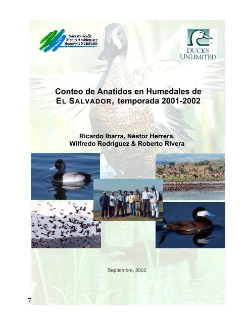 Informe de Conteo de Anatidos 2001-2002 - Ducks Unlimited