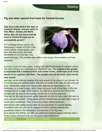 Fig and other special fruit trees for Central Europe - Figs 4 Fun