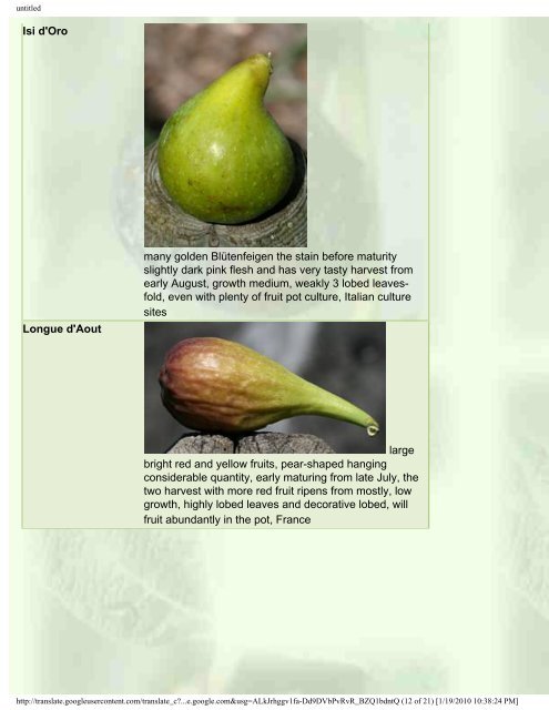 Fig and other special fruit trees for Central Europe - Figs 4 Fun
