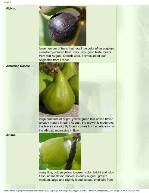 Fig and other special fruit trees for Central Europe - Figs 4 Fun