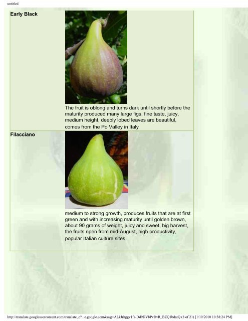 Fig and other special fruit trees for Central Europe - Figs 4 Fun