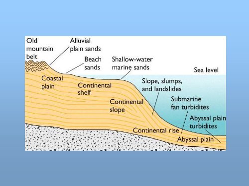 Ambiente Sedimentario Marino - UNAM