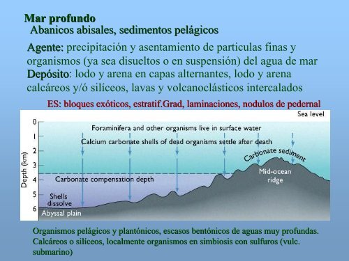 Ambiente Sedimentario Marino - UNAM