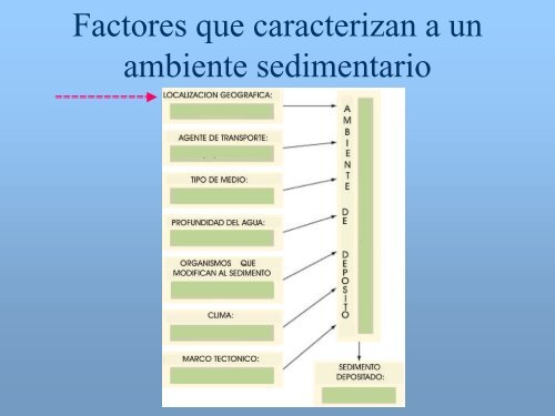 Ambiente Sedimentario Marino - UNAM