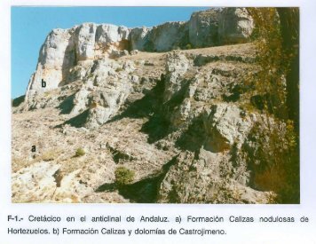 F-1.- Cretácico en el anticlinal de Andaluz. a) Formación Calizas ...