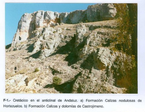 F-1.- Cretácico en el anticlinal de Andaluz. a) Formación Calizas ...