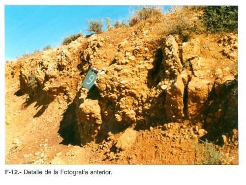 F-1.- Cretácico en el anticlinal de Andaluz. a) Formación Calizas ...