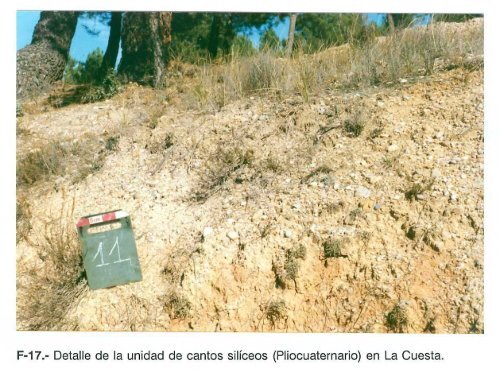 F-1.- Cretácico en el anticlinal de Andaluz. a) Formación Calizas ...
