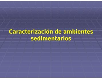 Caracterización de ambientes sedimentarios - UNAM