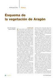 Esquema de la vegetación de Aragón - Ilustre Colegio Oficial de ...