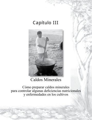 Capitulo III. Cómo preparar caldos minerales - SIMAS