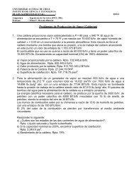Ejercicios Producción Vapor - Calderas.pdf - ICYTAL - UACh ...