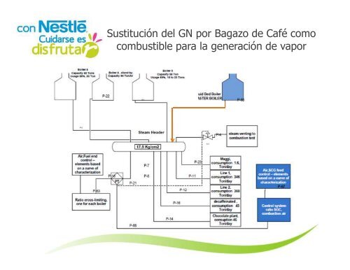Caldera de Biomasa, Nestlé México