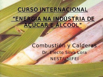 CURSO INTERNACIONAL “ENERGIA NA IND ... - Nest - Unifei
