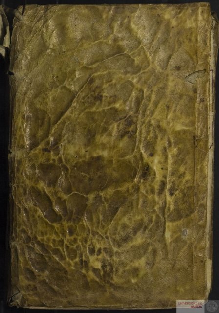 1 Digitum